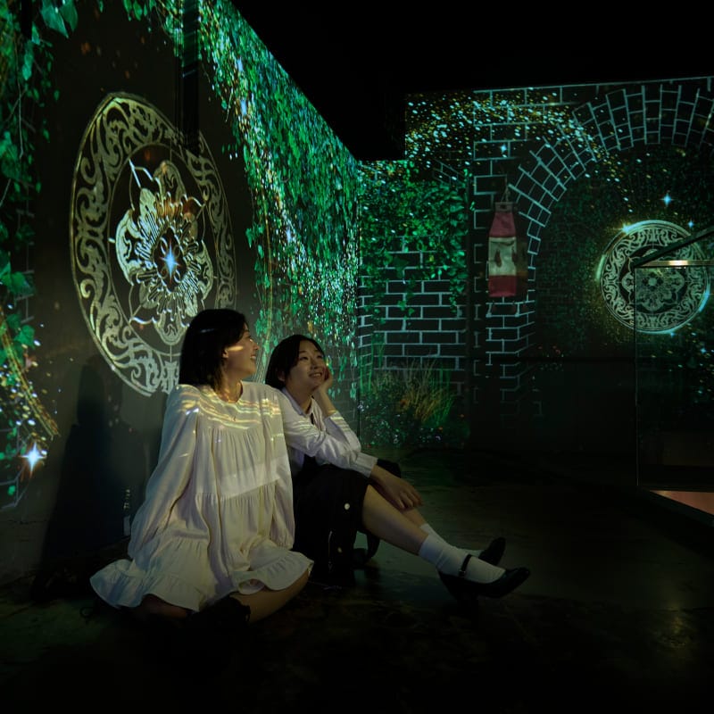 Alchemy of Souls Seoul: Light and Shadow Immersive Media Art Exhibition